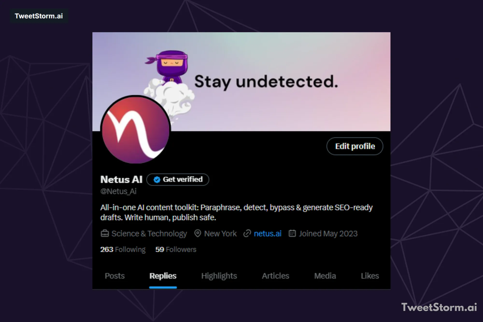 Profile of NetusAI on X account, TweetStormAI