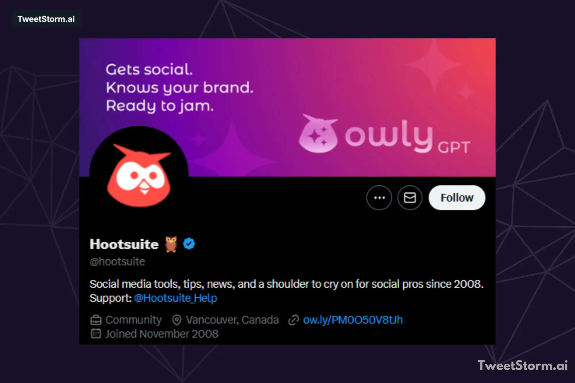 Profile bio of Hootsuite on X account, TweetStormAI