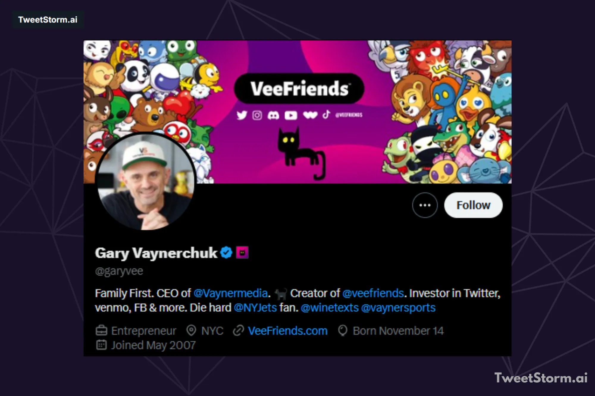 Profile bio of Gary Vaynerchuk on X account, TweetStormAI