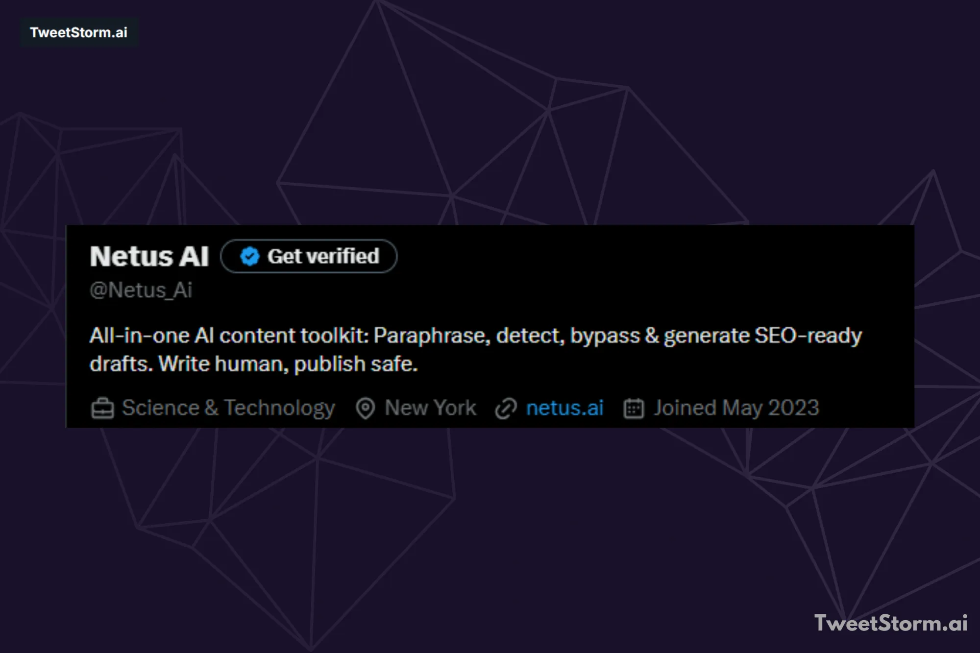Website of NetusAI on X , TweetStormAI