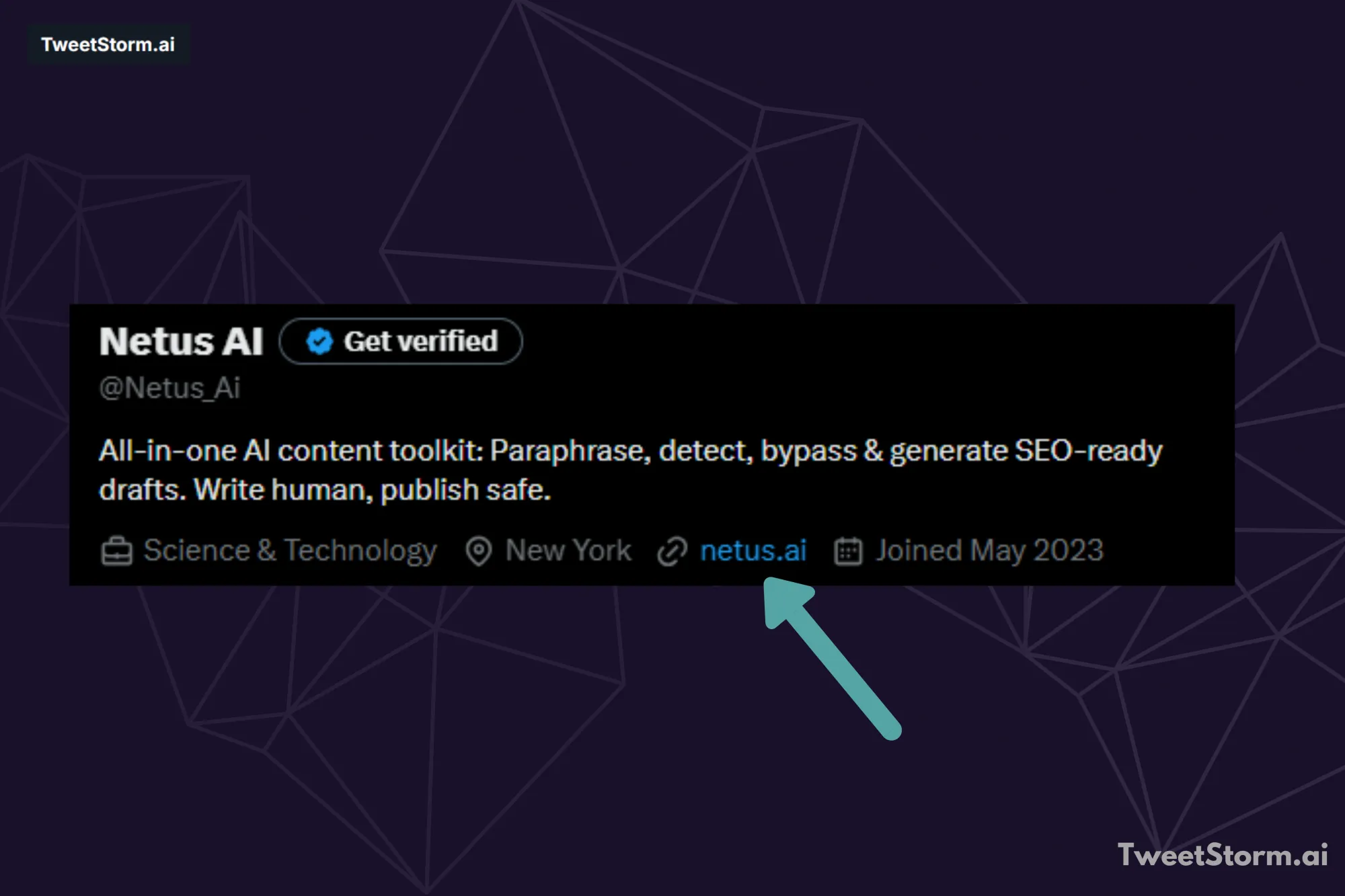 Website link of NetusAI on X account, TweetStormAI