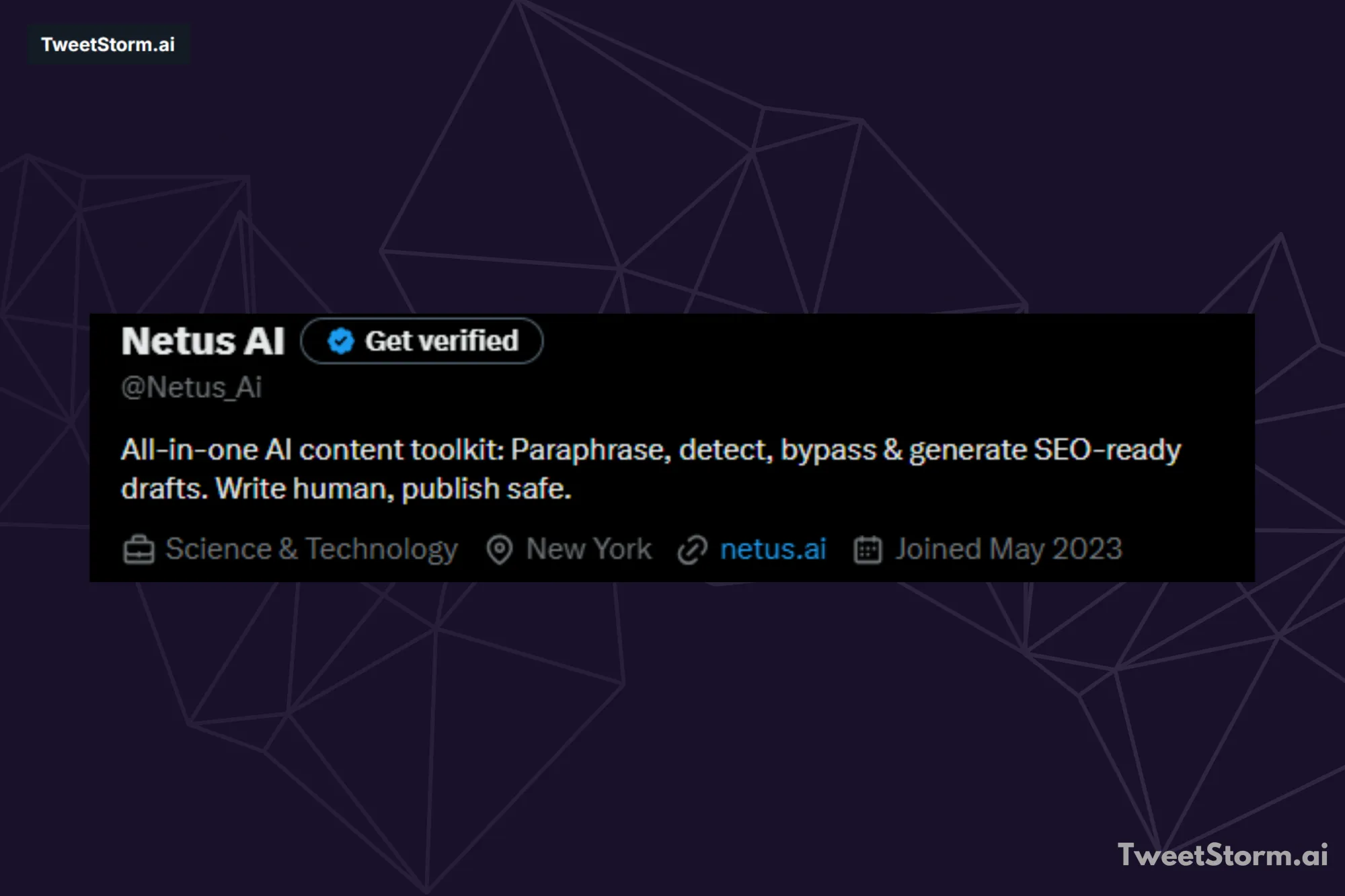 Bio of NetusAI on X account, TweetStormAI