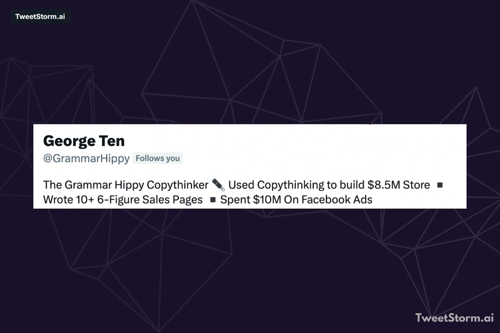 Bio of George Ten on Twitter/X, TweetStormAI