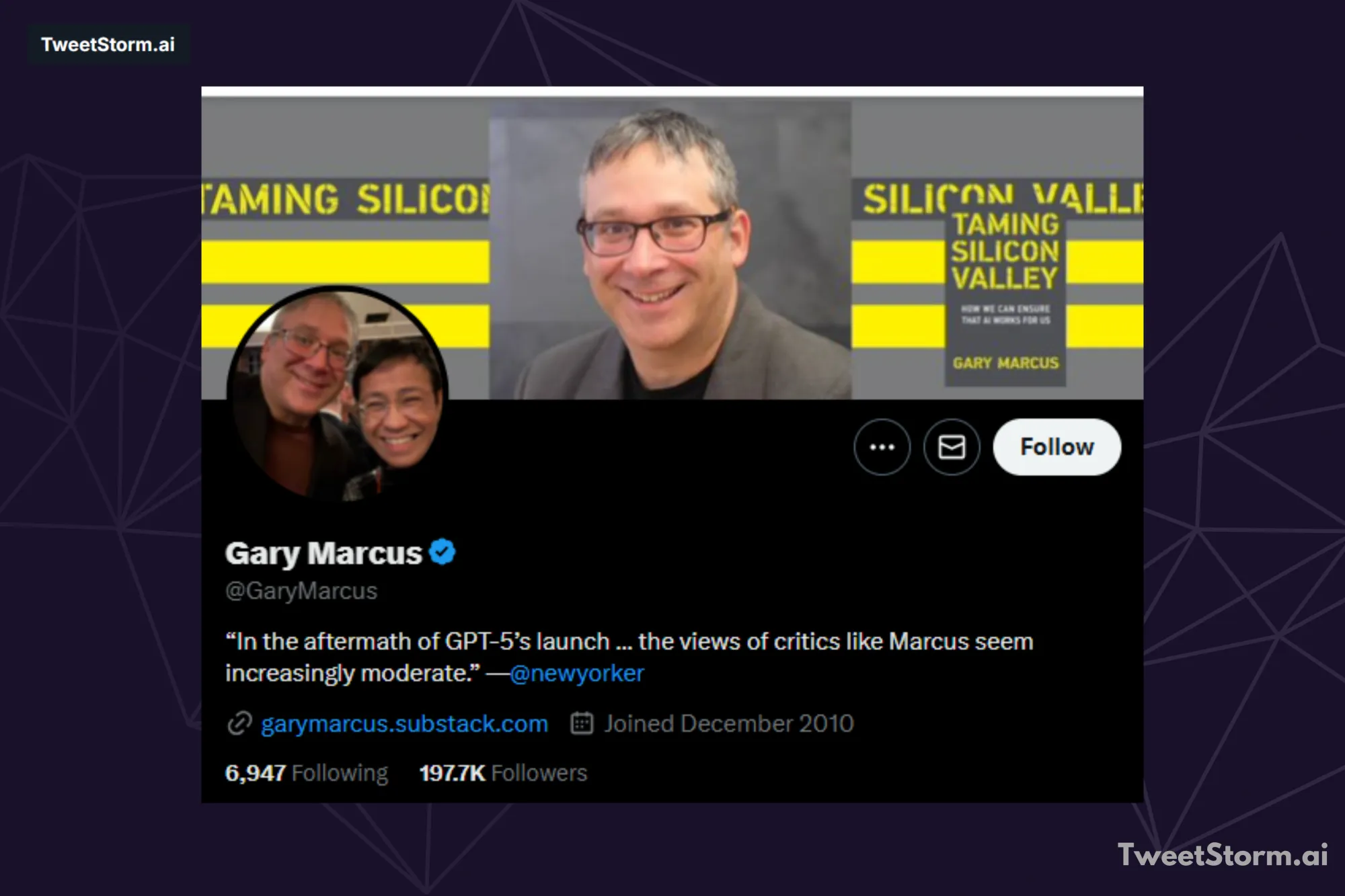 X/Twitter profile of Gary Marcus, TweetStormAI