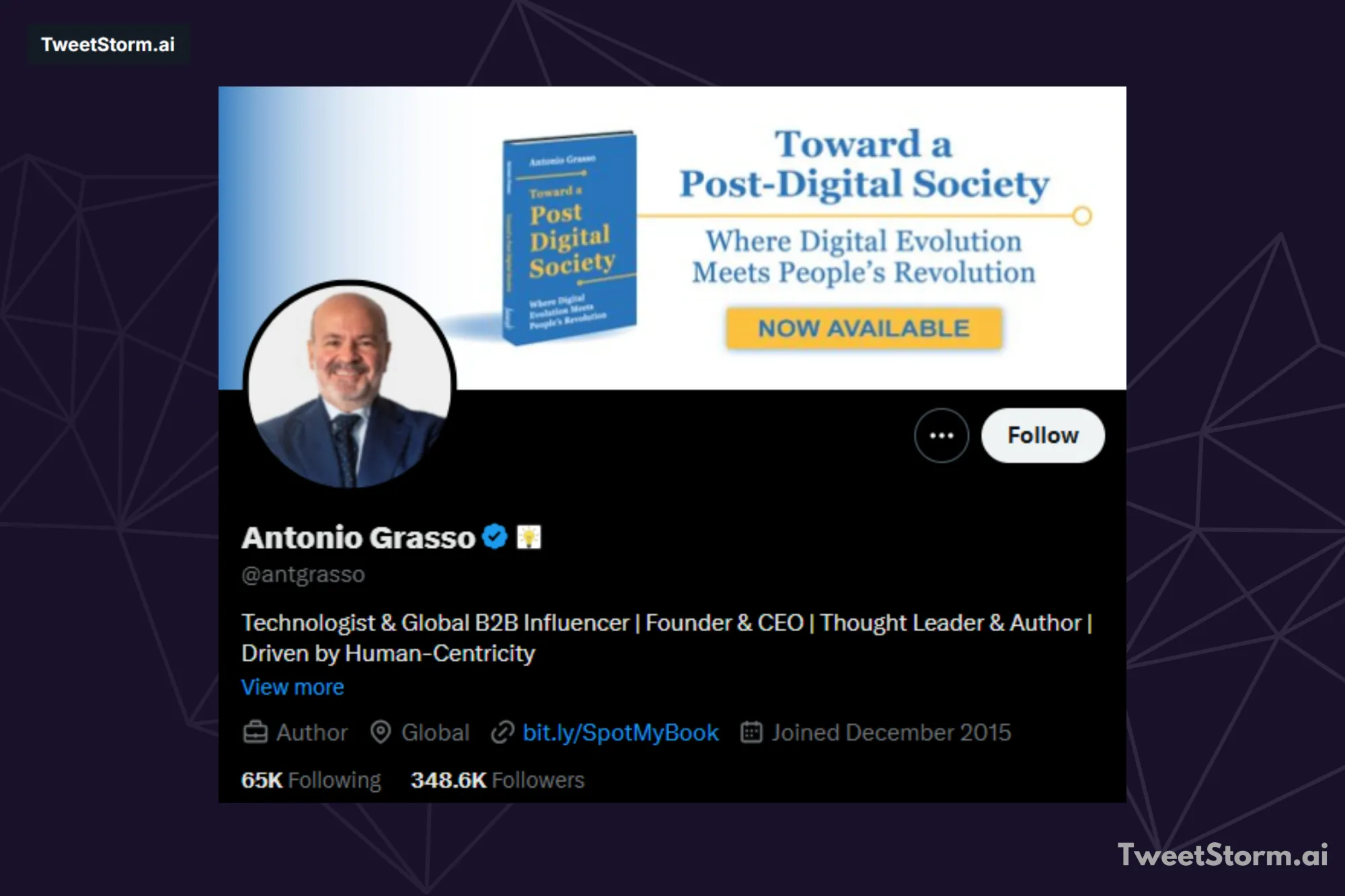 X/Twitter profile of Antonia Grasso, TweetStormAI