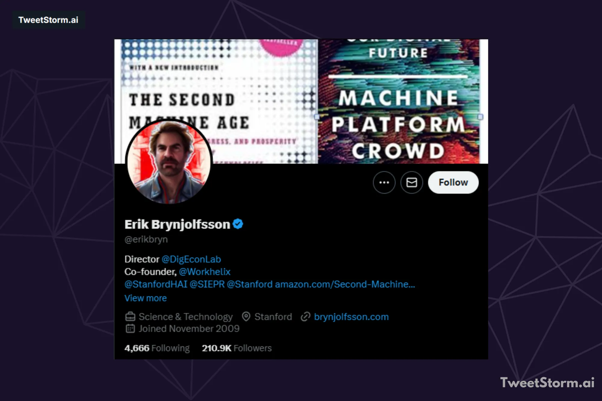 X/Twitter profile of Erik Bryunjolfsson, TweetStormAI
