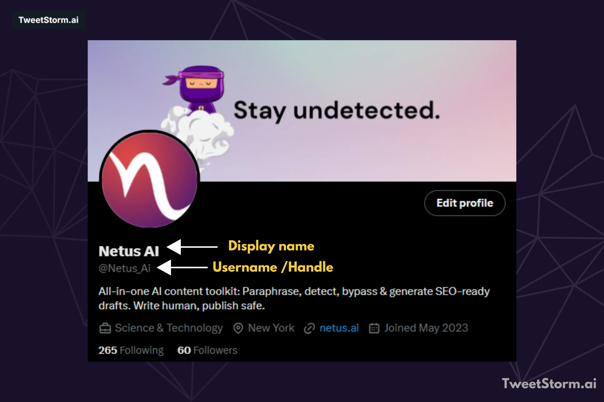Username and display name on X/Twitter, TweetStormAI