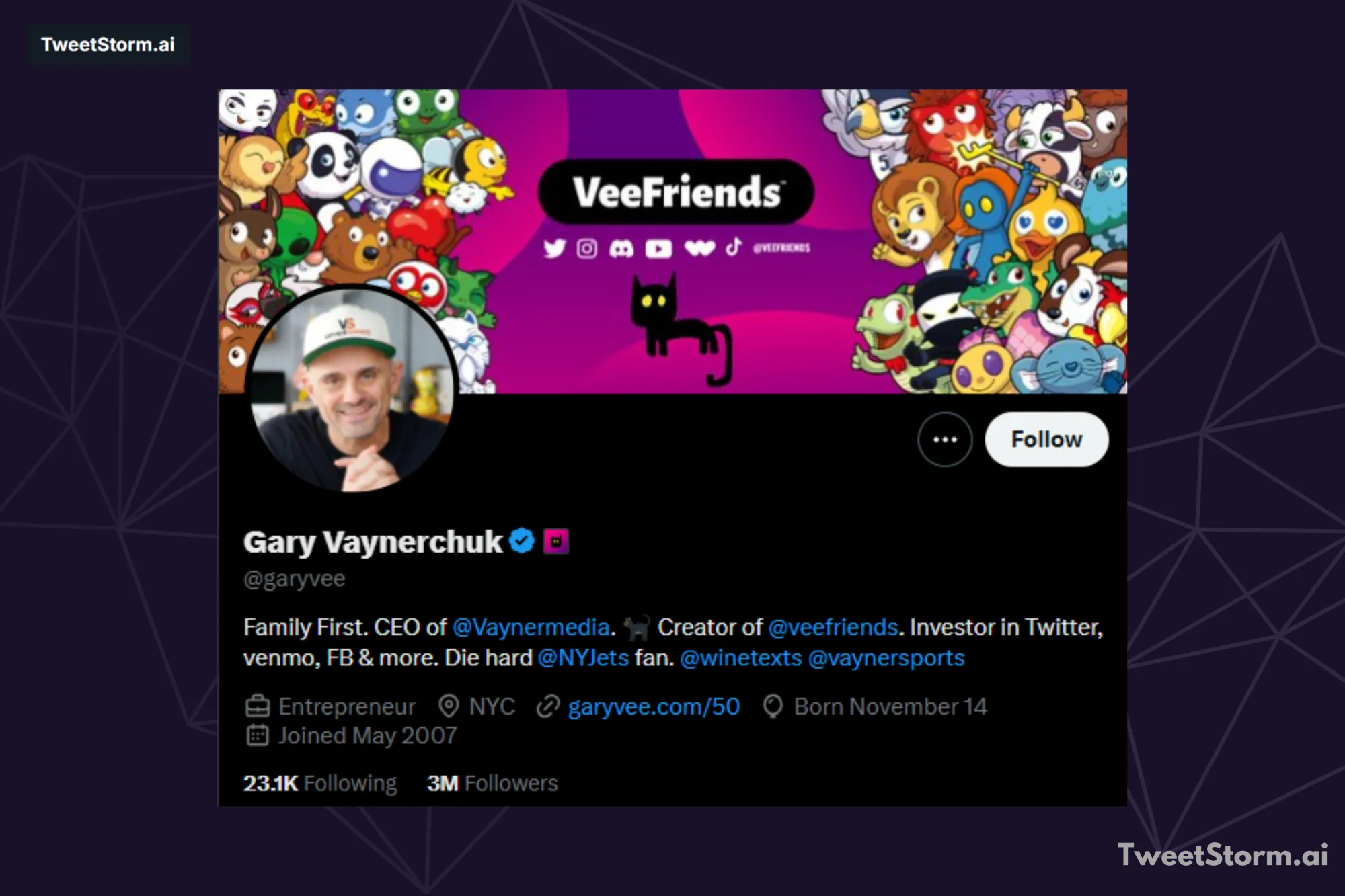 X profile of Gary Vaynerchuk, TweetStormAI