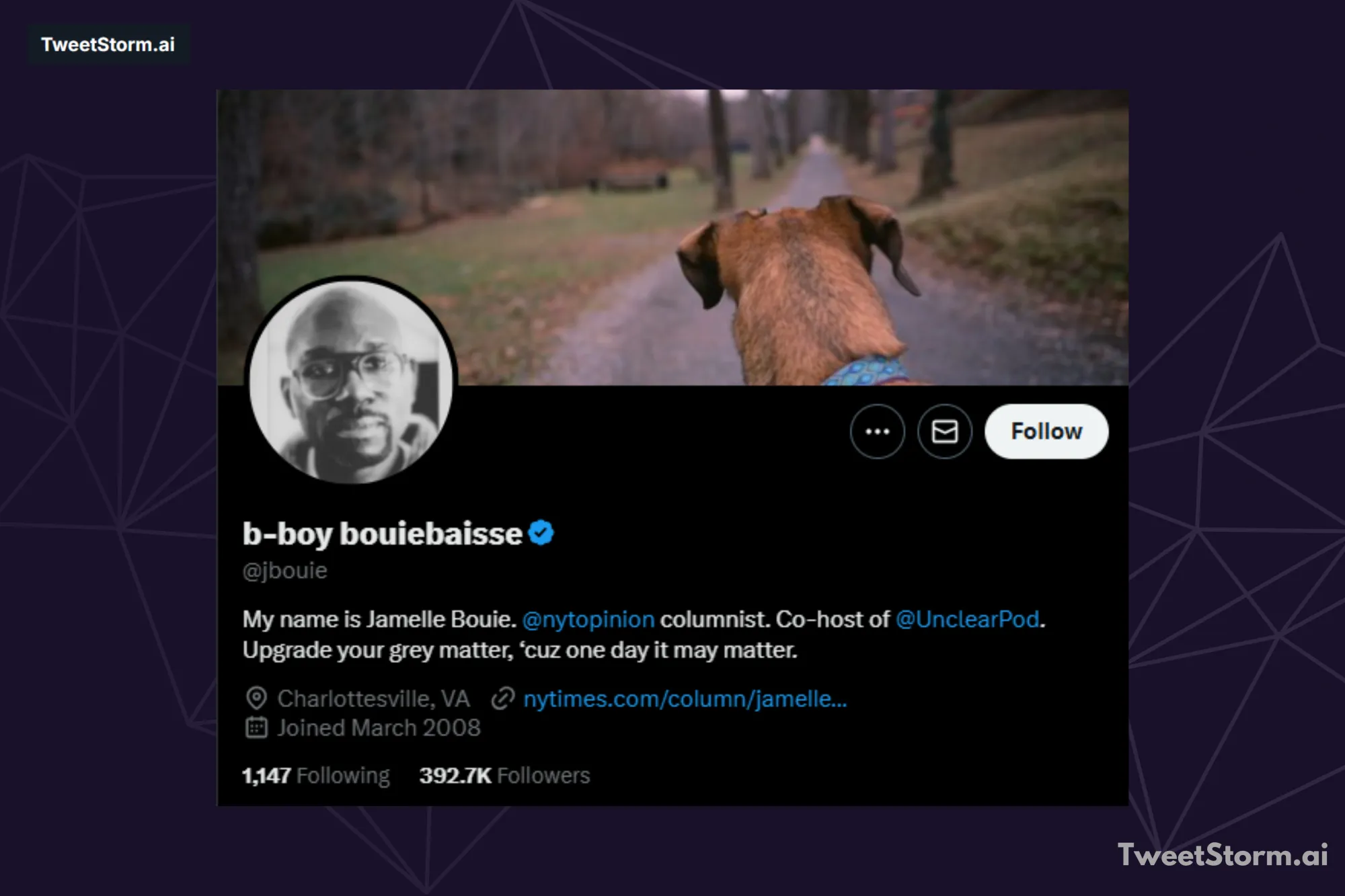X Profile of Jamelle Bouiesse, TweetStormAI