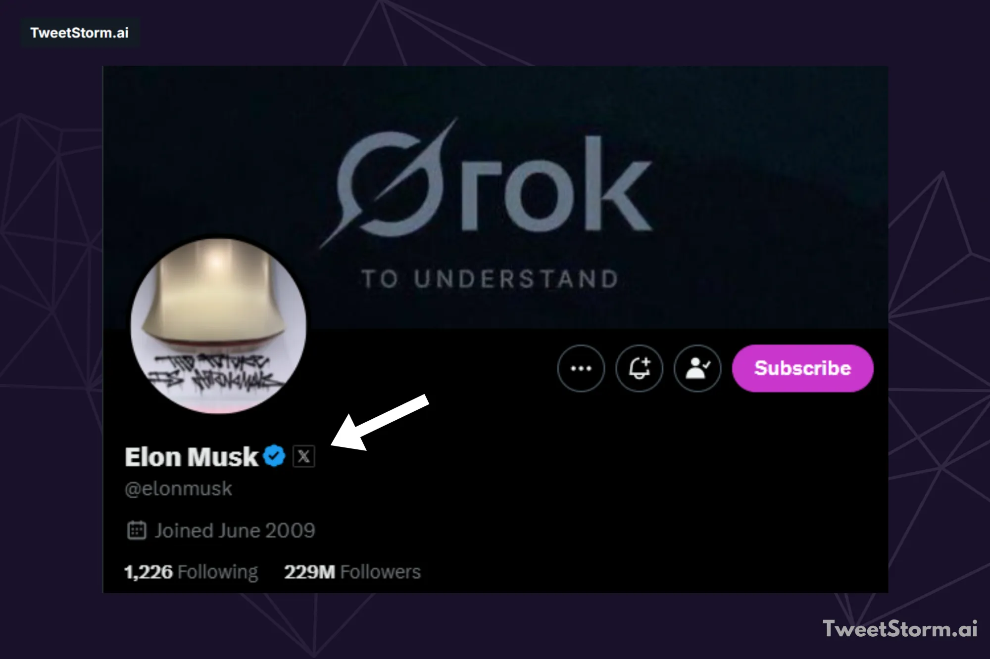X profile of Elon Musk, TweetStormAI