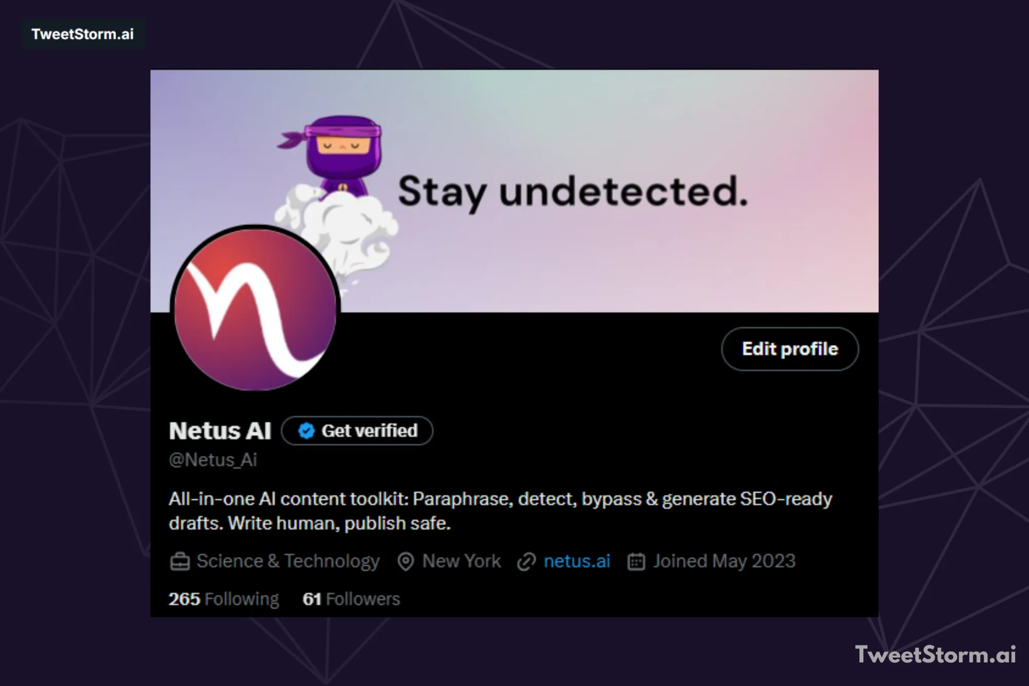X profile of Netus AI, TweetStormAI