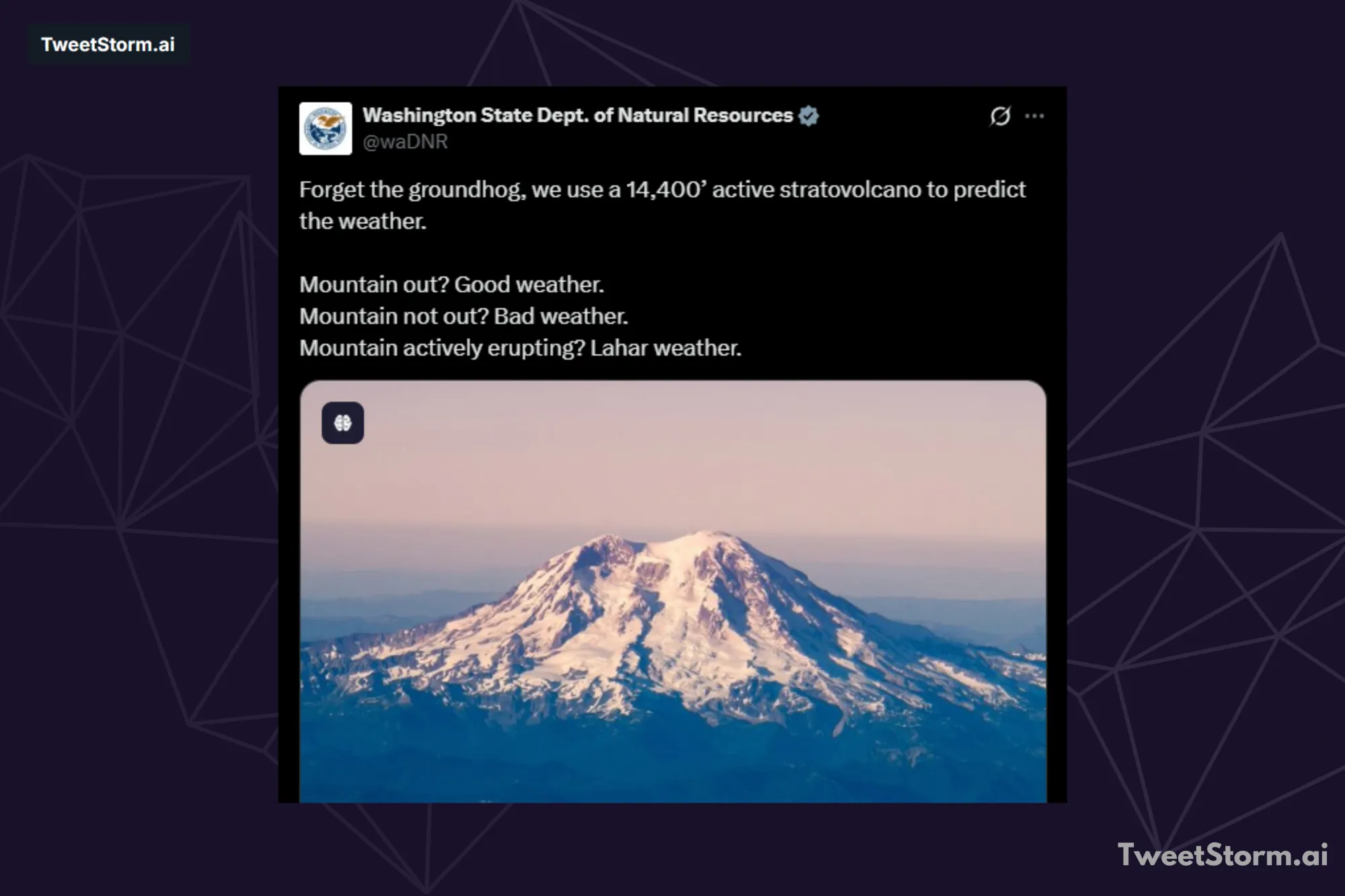 Post on Washington State Dept. of Natural Resources with alt text onn X, TweetStormAI