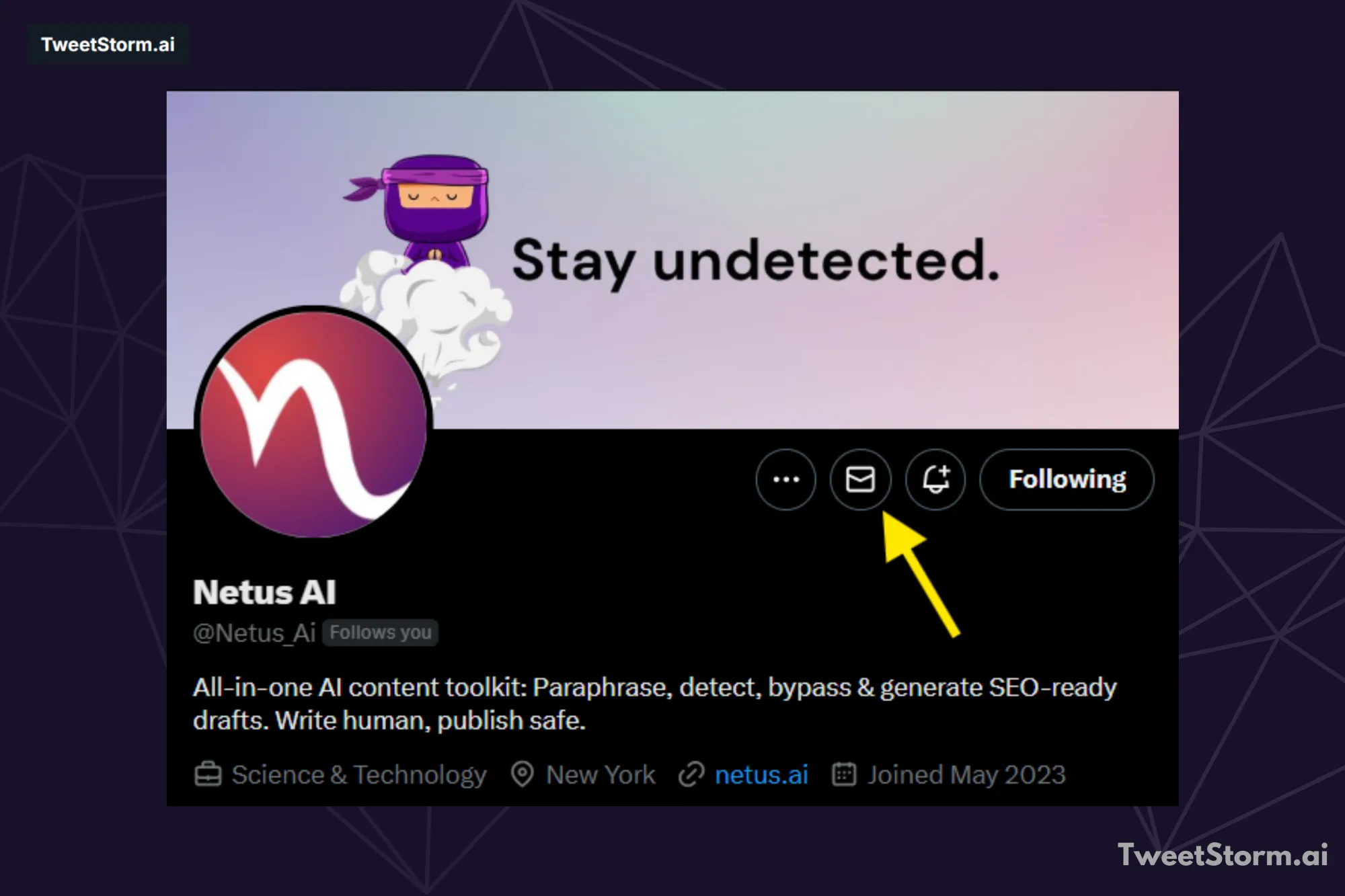 Direct message, TweetStormAI