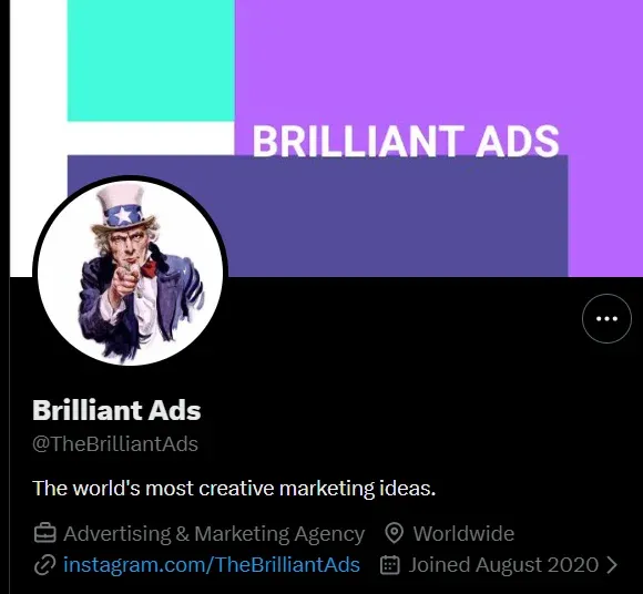 screenshot of profile hover, TweetStorm.ai