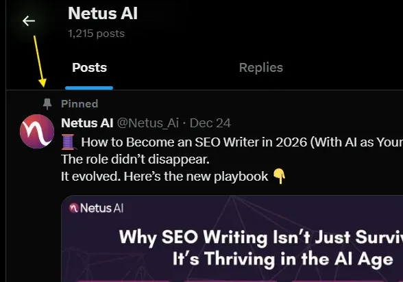 screenshot of pinned tweet, TweetStorm.ai